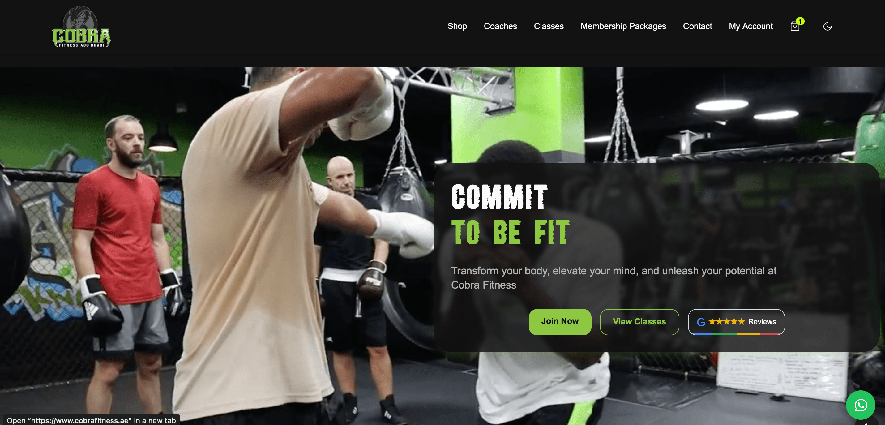 Cobra Fitness website project